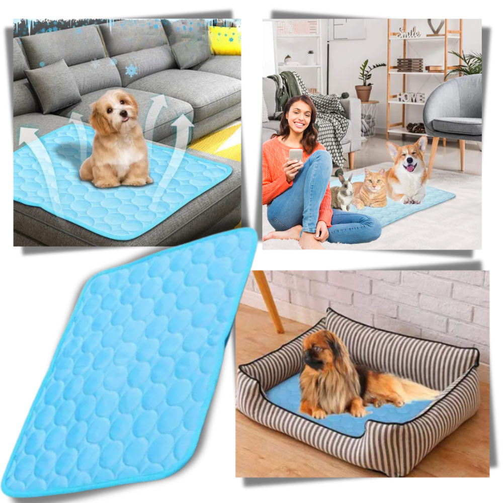 Silk Pet Cooling Pad - Ozerty