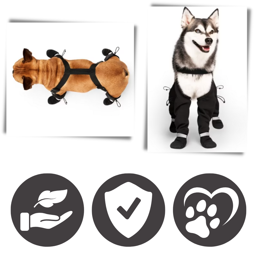 Waterproof Dog Suspenders Boots - Ozerty