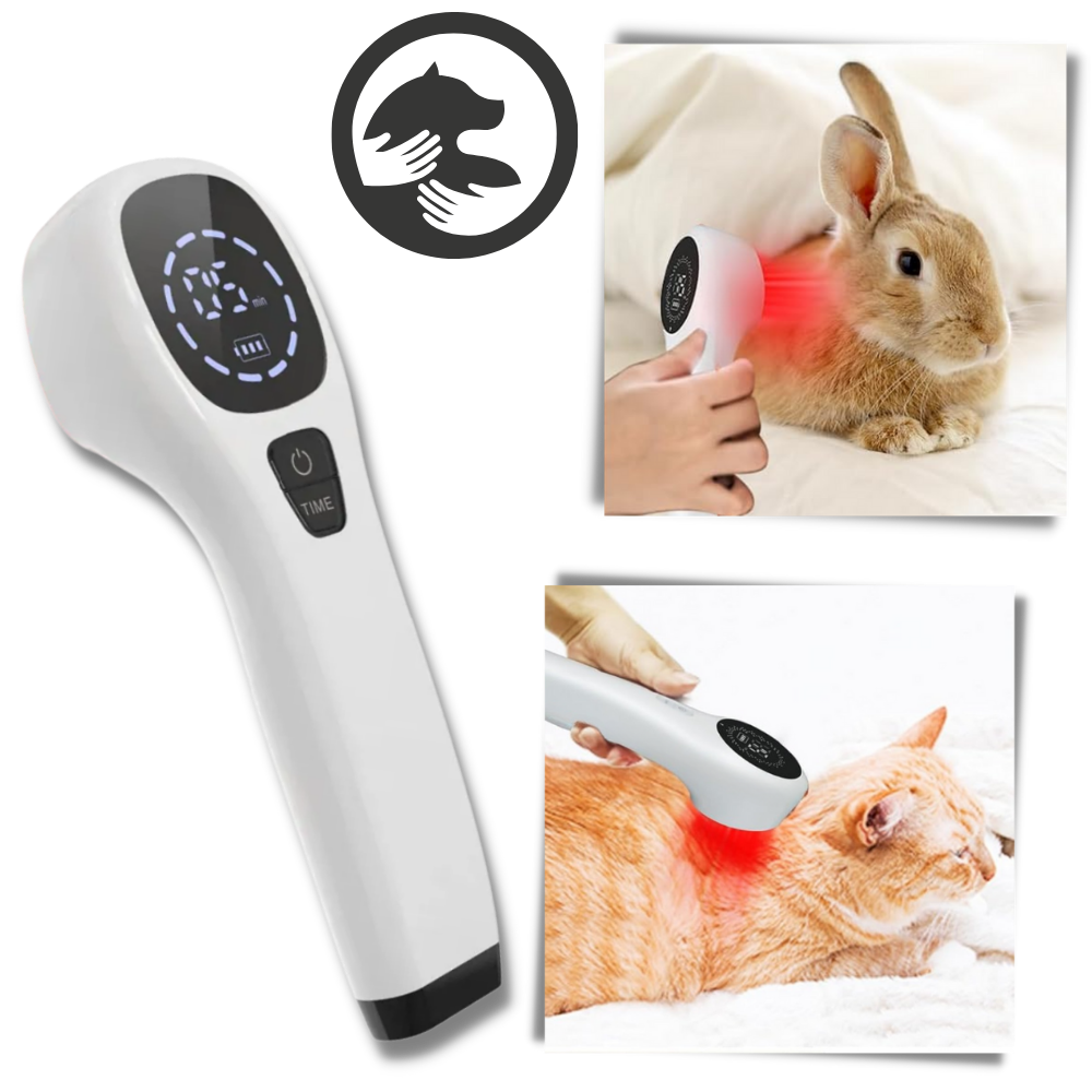  Handheld Infrared Therapy Device for Pet - Ozerty
